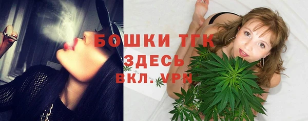 индика Балабаново