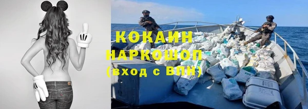индика Балабаново
