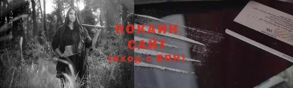 индика Балабаново