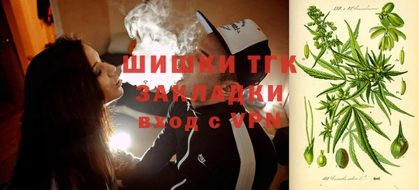 индика Балабаново