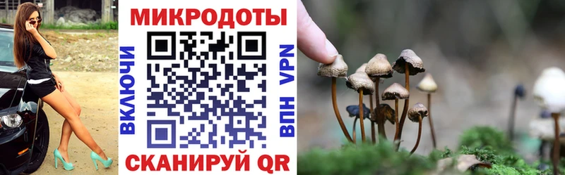 Галлюциногенные грибы Magic Shrooms Билибино