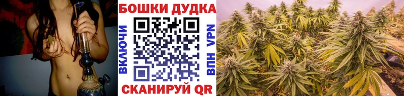 Каннабис семена  блэк спрут ONION  Билибино 